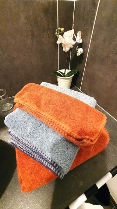 Le Cosy De Montfort เวซง-ลา-โรแมน ภายนอก รูปภาพ